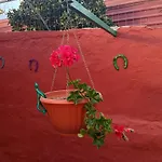 Casa Grande El Calabres Agüimes