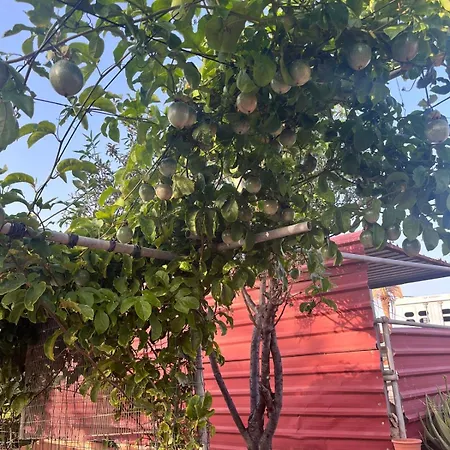 Casa Grande El Calabres